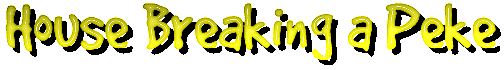 House Breaking
